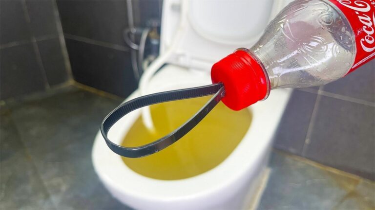 Ein einfacher Trick mit Flaschen und Rohren, der dein Toilettenproblem sofort löst…