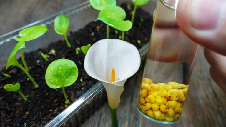 Dieser einfache Trick verwandelt deinen Garten in ein blühendes Paradies…