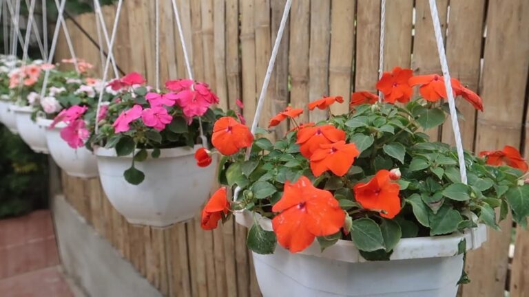 Dieser vergessene Trick verwandelt deinen Balkon in ein blühendes Paradies…