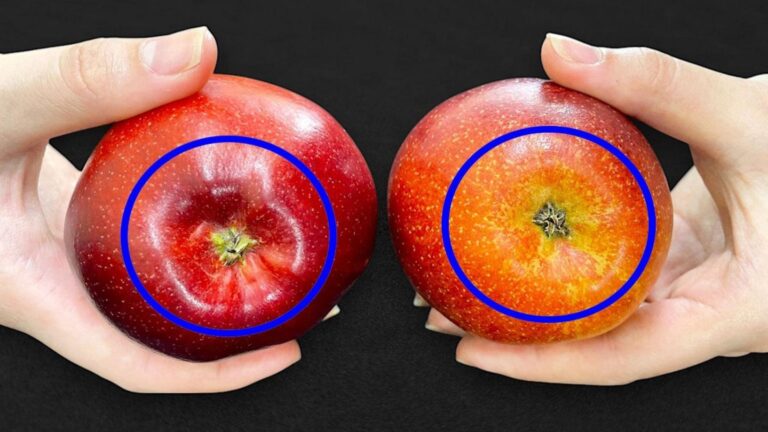 Diese einfache Technik verwandelt Bananen in gesunde Zuckerrohrpflanzen… entdecke wie!
