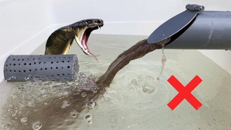 Dieser vergessene Trick hält Abflüsse dauerhaft frei und macht das Zuhause