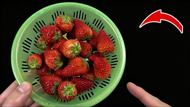 5 effektive Tipps, um Erdbeeren richtig zu waschen und ihren Geschmack zu genießen!