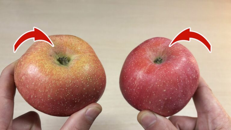 3 Tipps für knackige und süße Äpfel, die du unbedingt ausprobieren musst! 🍏✨