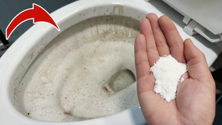 Sag Adieu zu Toilettenreinigern: 5 geniale Alternativen entdecken!