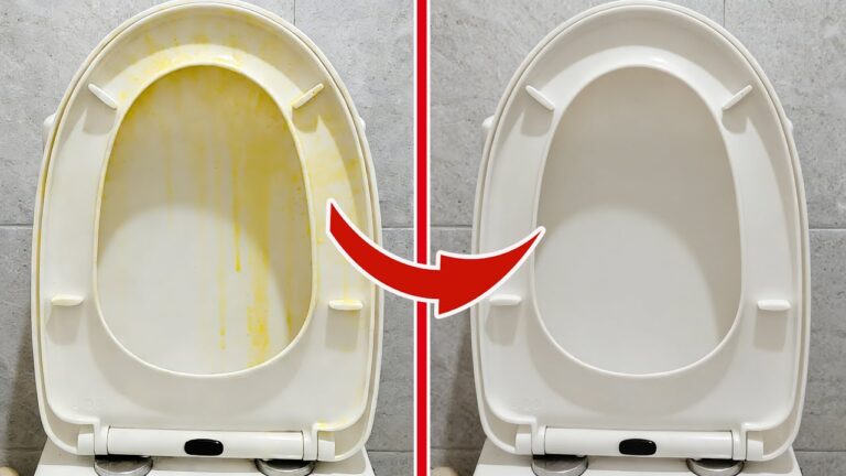 Toilettensitz in 5 schnellen Schritten blitzblank – das Geheimnis der Hotelreiniger!