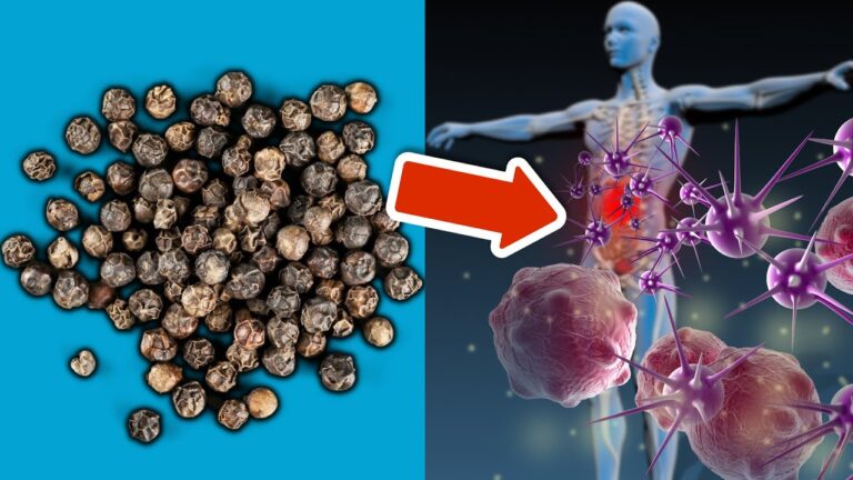 Entdecke 4 überraschende Gesundheitsvorteile von schwarzem Pfeffer, die dich begeistern!