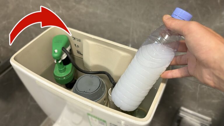 10 geniale Tipps für ein strahlend sauberes WC – so einfach wird es frisch!