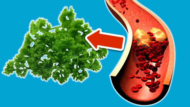 4 Lebensmittel, die dein Blut natürlich reinigen – Entdecke die Kraft der Natur!