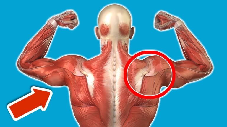 7 erstaunliche Veränderungen durch tägliche Klimmzüge für deinen Körper! 💪