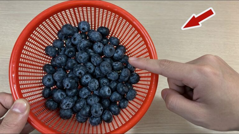 Stoppe das Waschen von 5 großen Fehlern bei Heidelbeeren für perfekten Genuss!