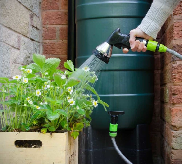 Regentonnen richtig einrichten: 8 kreative DIY-Ideen für sammeln Regenwasser
