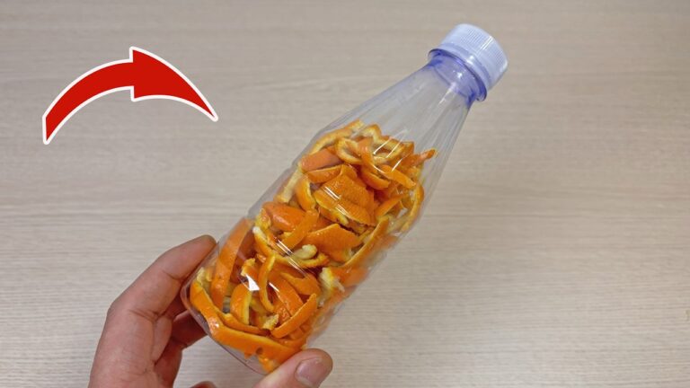 Nutze 5 kreative Möglichkeiten für Orangenschalen, die du unbedingt ausprobieren solltest!