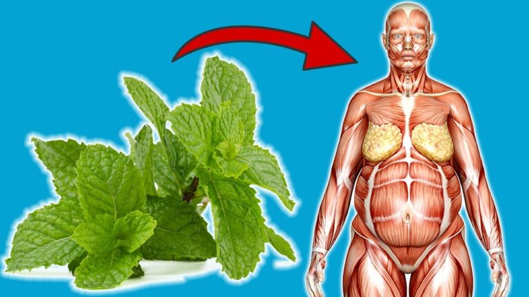 7 unerwartete Vorteile von täglich Minze essen für deine Gesundheit!
