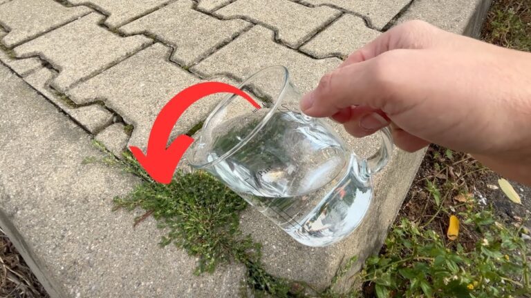 3 einfache Schritte, um lästige Unkräuter dauerhaft loszuwerden