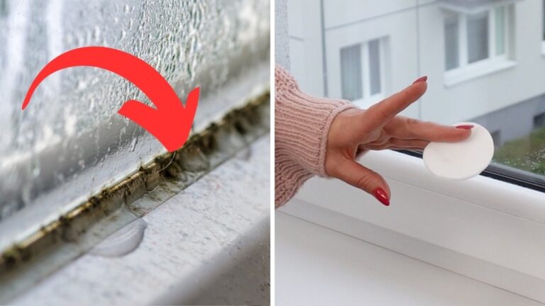 5 geniale Tipps: Schmutzige Fenster reinigen und Schimmel für immer banishen!