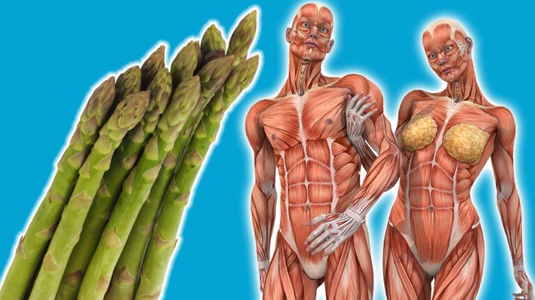 7 erstaunliche Vorteile von Spargel, die dein Leben verändern werden!