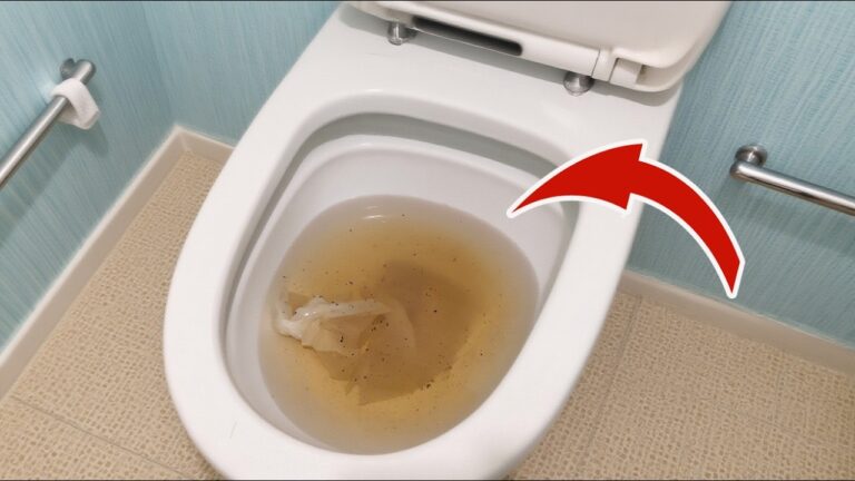 2 einfache Tricks, um eine verstopfte Toilette in 3 Minuten zu befreien!