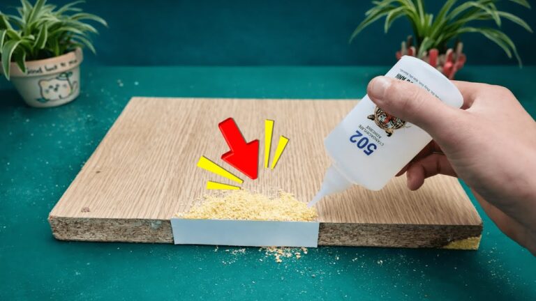 5 einfache Schritte, um Holzfugen mit Sägemehl und Leim perfekt zu reparieren