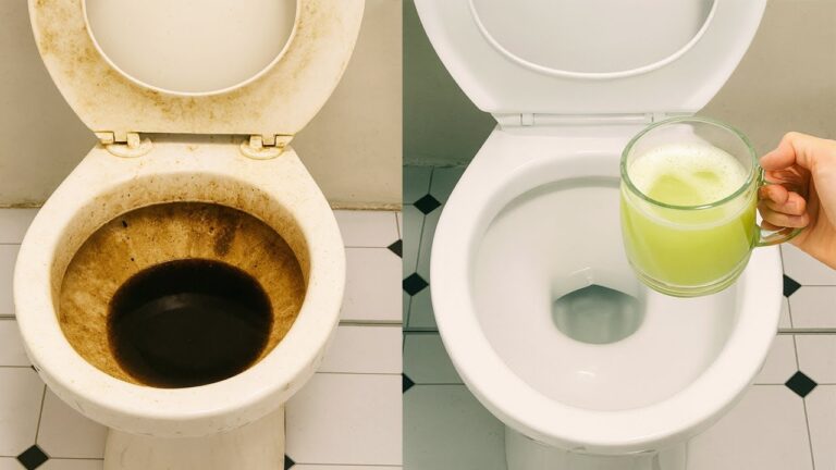 Toilette ohne aggressive Chemie reinigen — gegen Schmutz und hartnäckige Ablagerungen