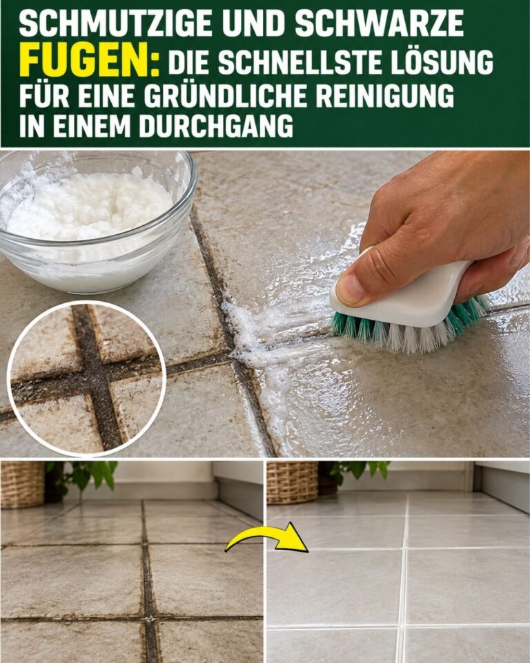 Schmutzige und schwarze Fugen: die schnellste Lösung für eine gründliche Reinigung in einem Durchgang