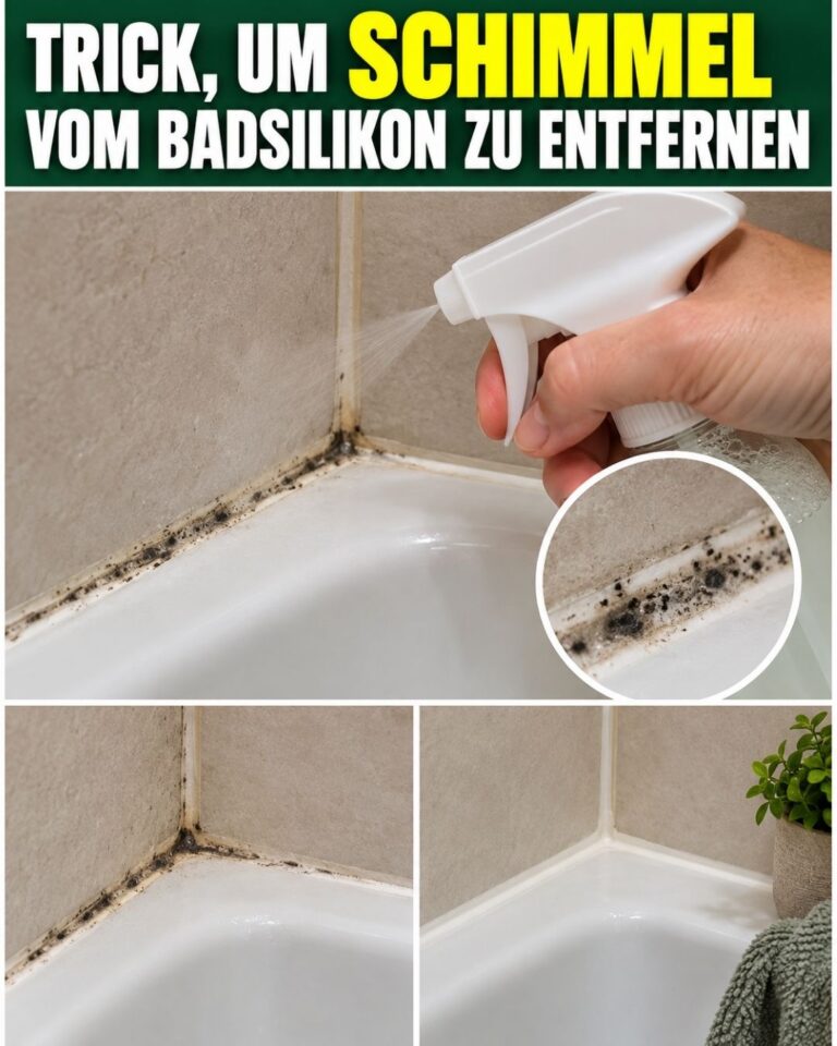 Trick, um SCHIMMEL vom Badsilikon zu ENTFERNEN
