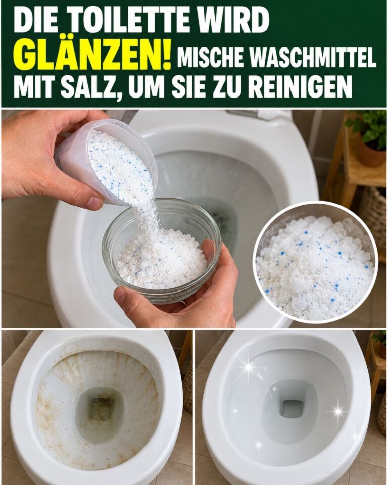 Die Toilette wird GLÄNZEN! Mische Waschmittel mit Salz, um sie zu reinigen