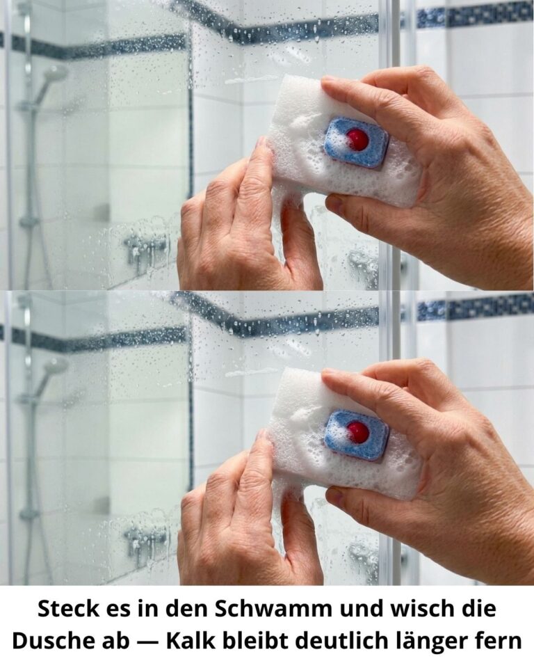 Steck es in den Schwamm und wisch die Dusche ab — Kalk bleibt deutlich länger fern