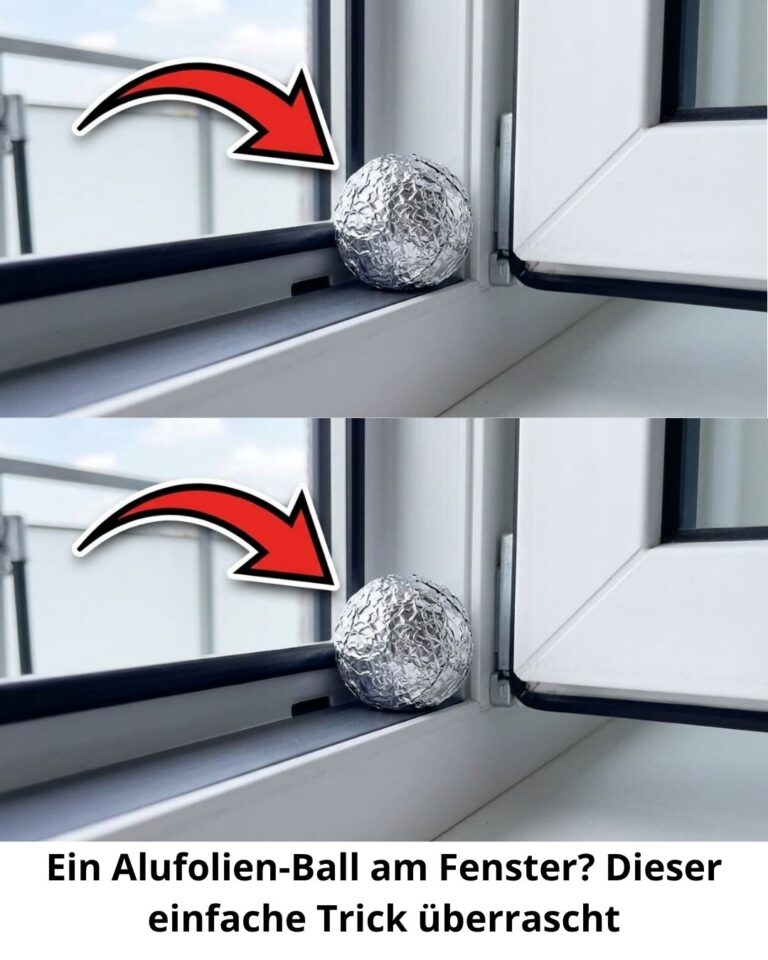 Ein Alufolien-Ball am Fenster? Dieser einfache Trick überrascht