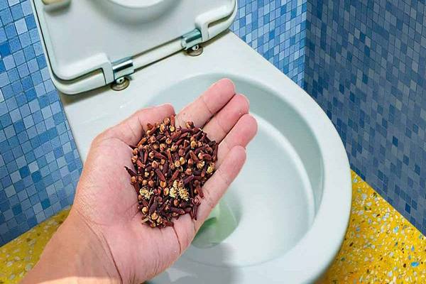 5 Tricks gegen Uringeruch im Badezimmer!