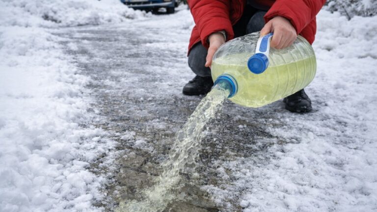 Stop SALTING! Your Sidewalk Never Freezes Again